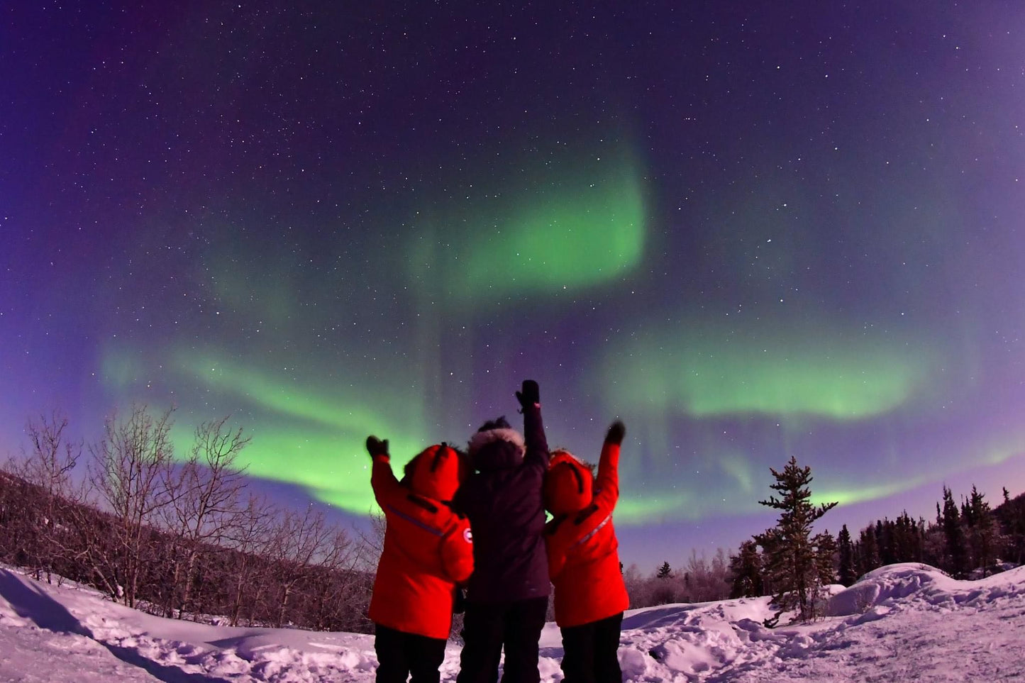 冬季極光5日4夜套餐（4⭐️酒店） Winter Aurora Tour Package (5 days 4 nights+Hotel 4⭐️  )